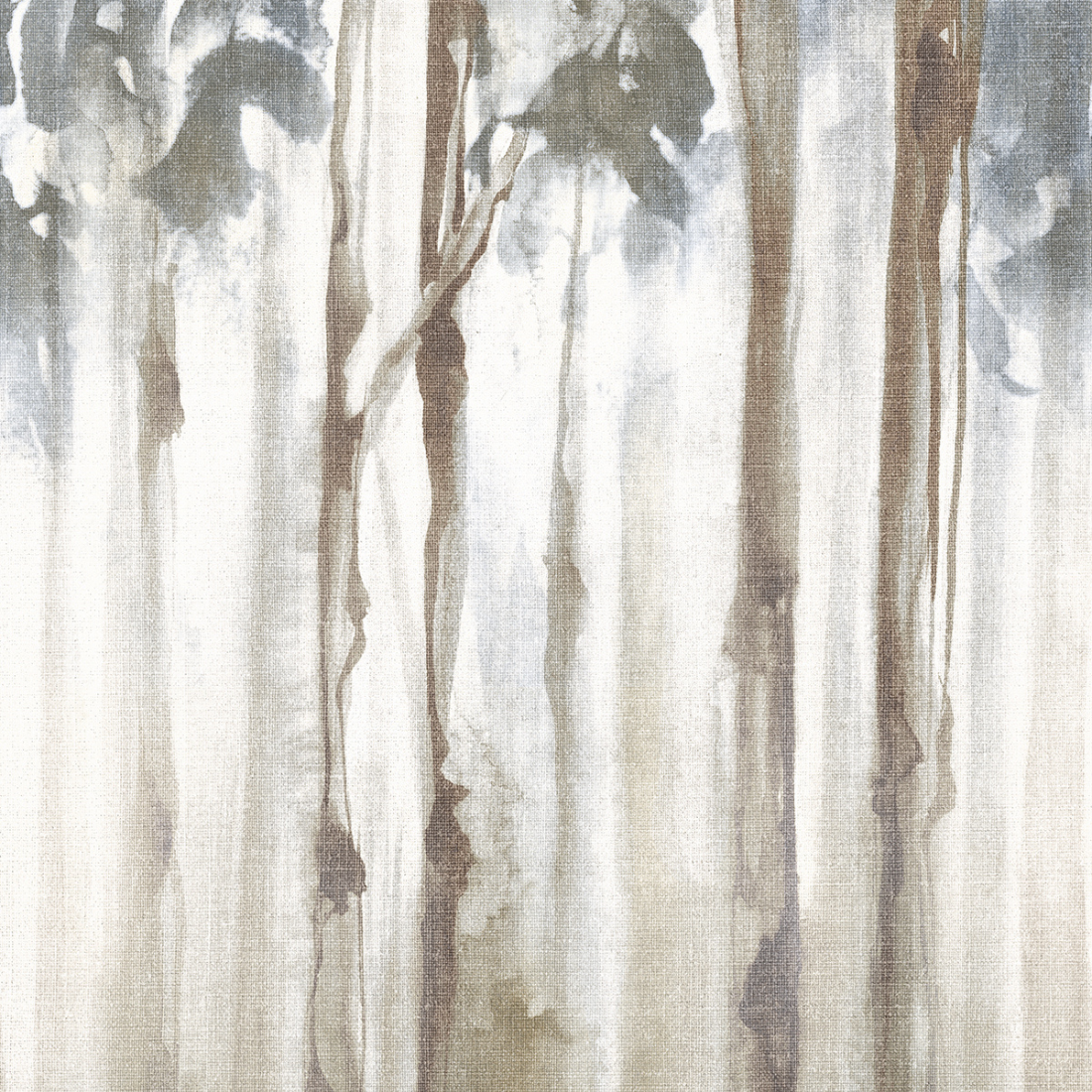 Rainforest - Image 3